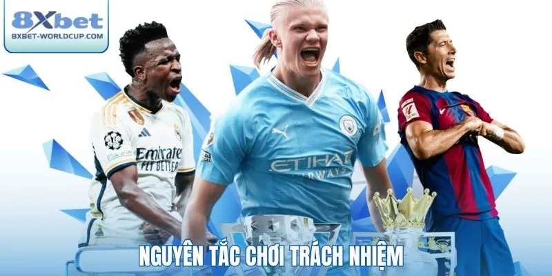 Nguyên tắc chơi trách nhiệm